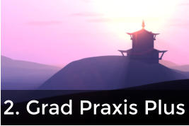 2. Grad Praxis Plus