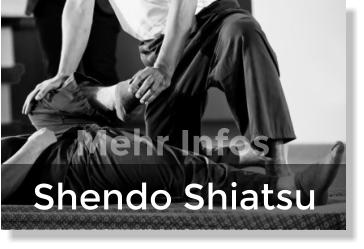 Shendo Shiatsu Mehr Infos